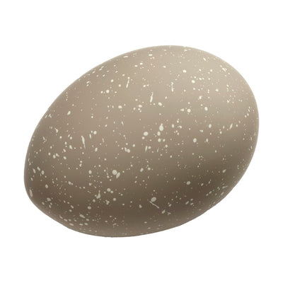 Se Cooee Design Easter Deco æg 2-pak Sand ✔ Kæmpe udvalg i Cooee Design ✔ Hurtig levering: 1 - 2 Hverdage samt billig fragt - Varenummer: KTT-596567-01 og barcode / Ean: '7350156250433 på lager - Udsalg på Indretning - Dekoration - Dekorationsdetaljer Spar op til 58% - Over 1300 kendte brands på udsalg