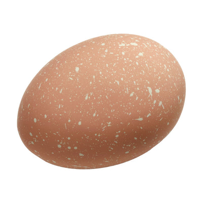 Se Cooee Design Easter Deco æg 2-pak Cafe au lait ✔ Kæmpe udvalg i Cooee Design ✔ Hurtig levering: 1 - 2 Hverdage samt billig fragt - Varenummer: KTT-596569-01 og barcode / Ean: '7350156250457 på lager - Udsalg på Indretning - Dekoration - Dekorationsdetaljer Spar op til 57% - Over 1300 kendte brands på udsalg