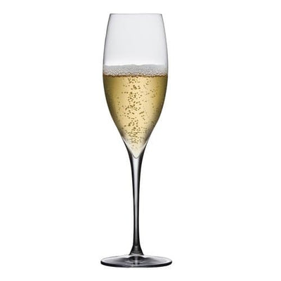 NUDE | Terroir | Champagne glas | sæt 2 glas - Køb online nu