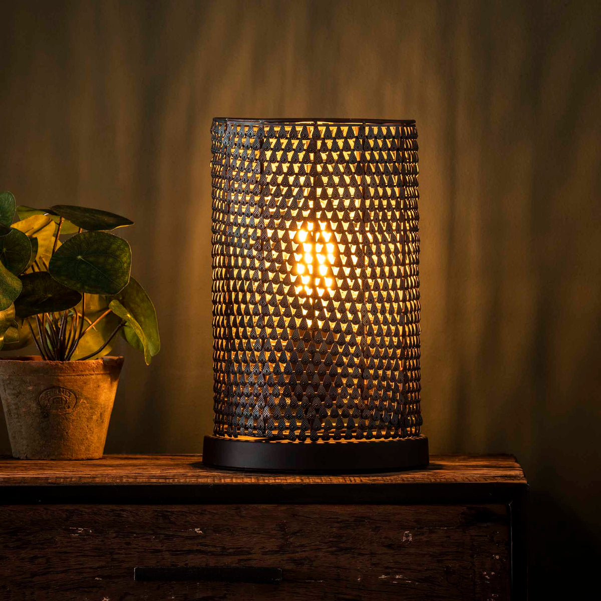 Tændt bordlampe med perforeret skærm og en grøn plante på en gammel kommode en mørk novemberaften