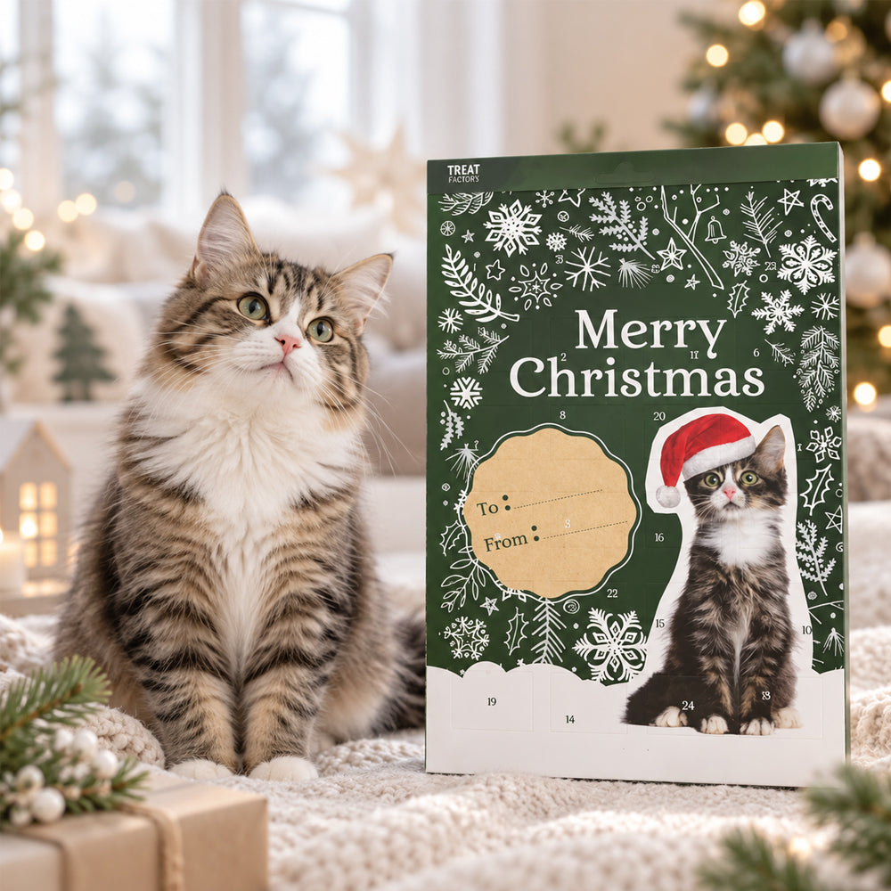 Treateaters julekalender til katte med 24 låger til godbidder
