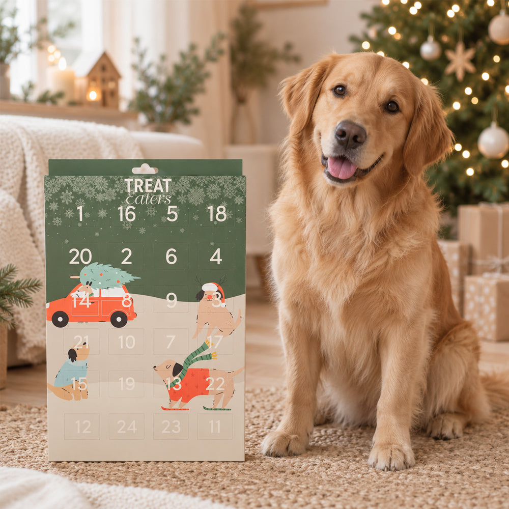 Julekalender til hunde fra TreatEaters med 24 låger og mini treats