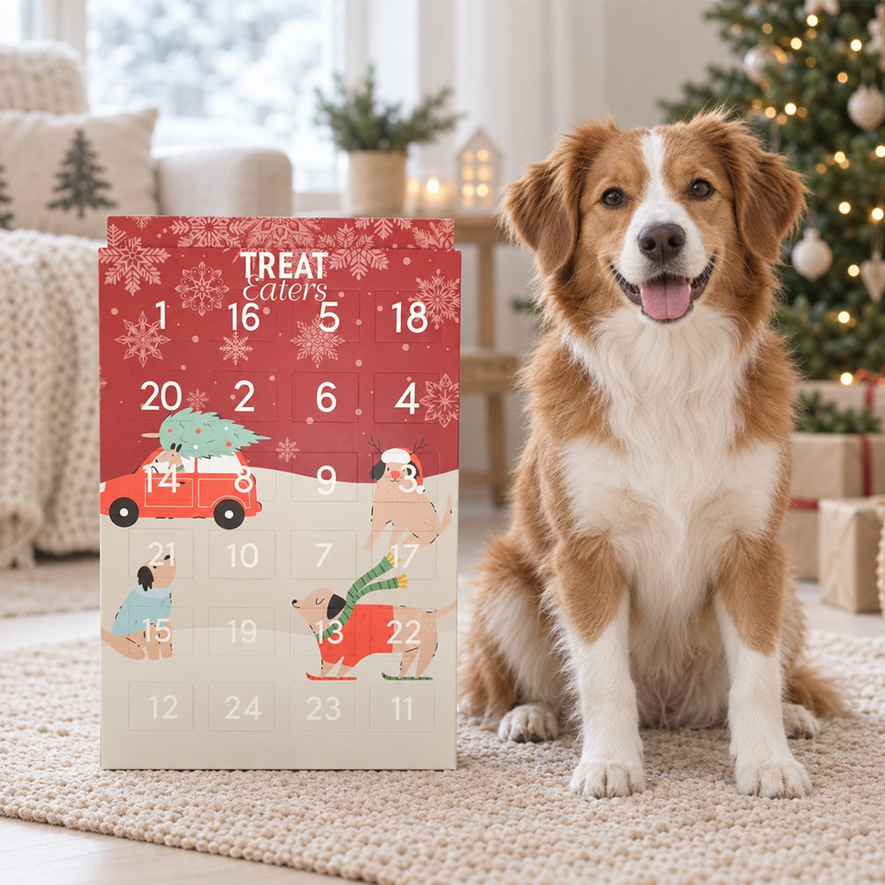 Munchy julekalender til hunde fra TreatEaters med 24 låger og små tyggeben