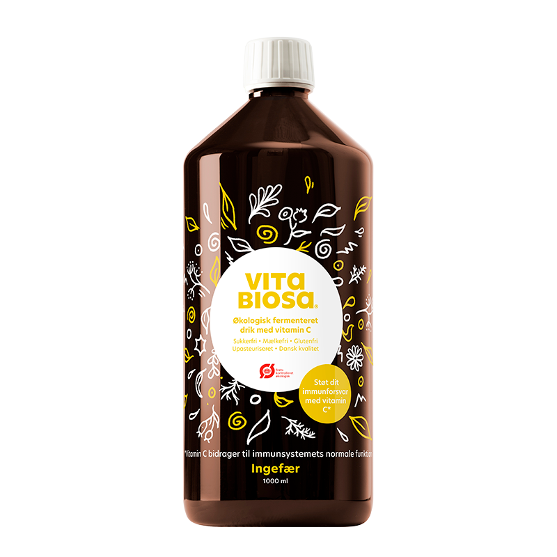 Flaske Vita Biosa Ingefær Ø, fermenteret drik med mælkesyrebakterier, 1 liter