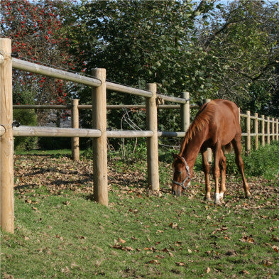 Se Nordic Fence - Ridebanehegn 120 Løbende Meter Komplet ❤ Kæmpe udvalg i Nordic Fence - Køb online på udsalg og tilbud lige nu ❤ Billig fragt og hurtig levering - Varenummer: Bolig&Haven-61179779711306 og barcode / Ean: 5705858063751 på lager - Udsalg på Store besparelser – op til 67% - Store besparelser på over 2.281 brands