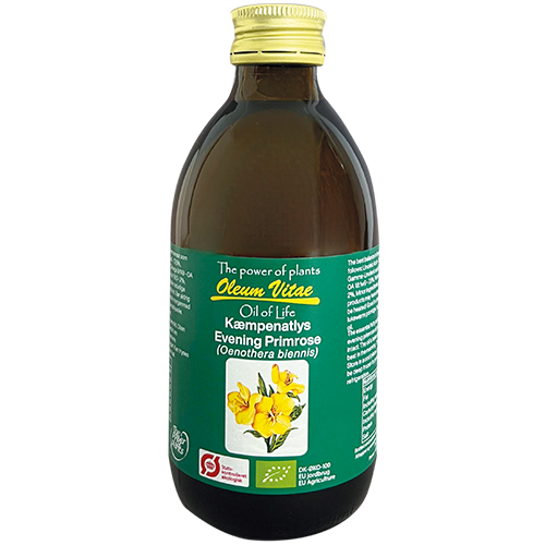 Livets Olie Oil of Life økologisk kæmpenatlysolie, 250 ml