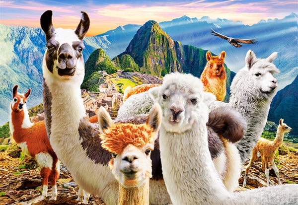 Castorland puslespil Llamas Selfie med 1000 brikker