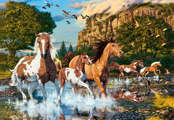 Puslespilsæske til Horse Wonderland fra Castorland med 1000 brikker