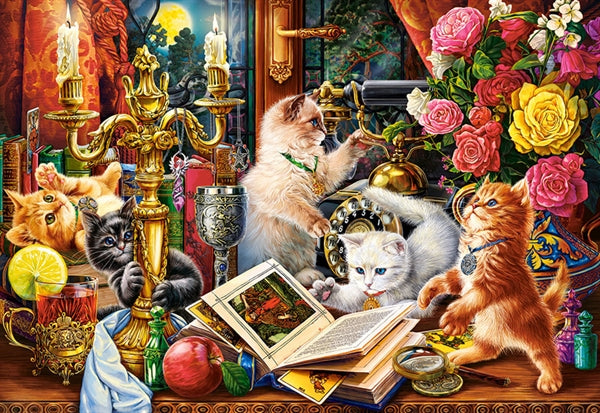 Castorland Wizard Kittens puslespil med 1000 brikker