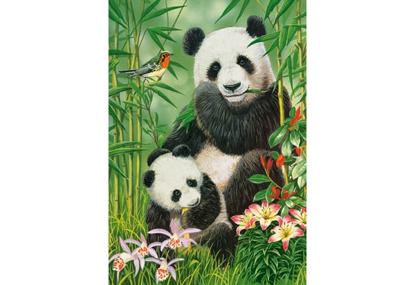 Castorland puslespil Panda Brunch med 1000 brikker