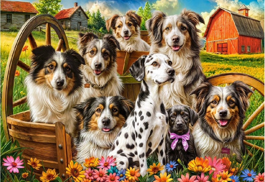 Castorland puslespil Happy Dogs In The Countryside med 1000 brikker