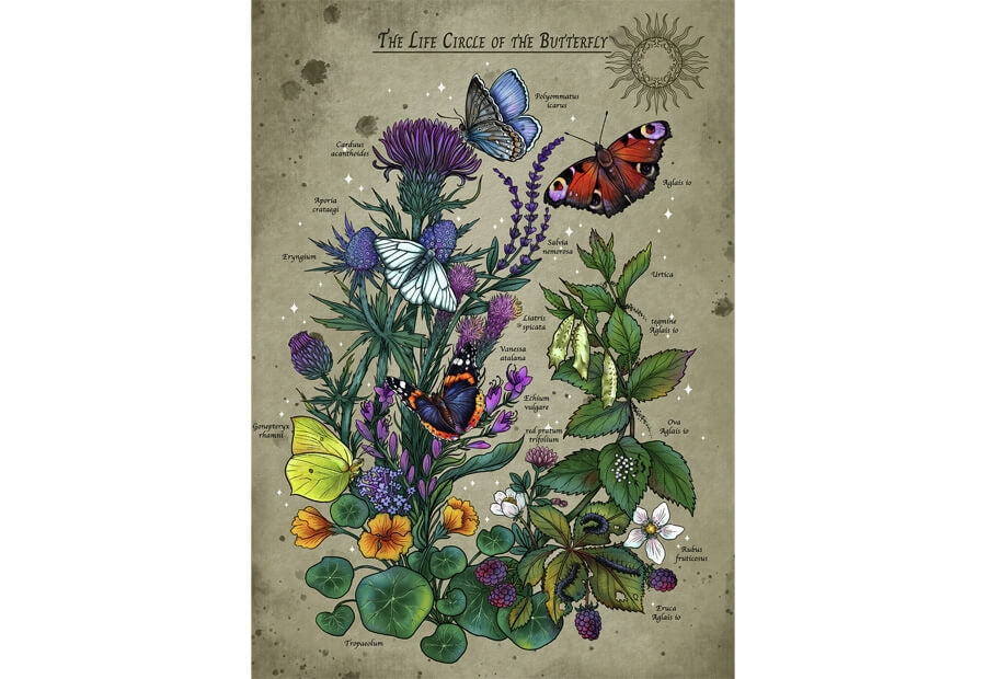 Æske til Ravensburger-puslespillet Life Circle of Butterfly med 1000 brikker