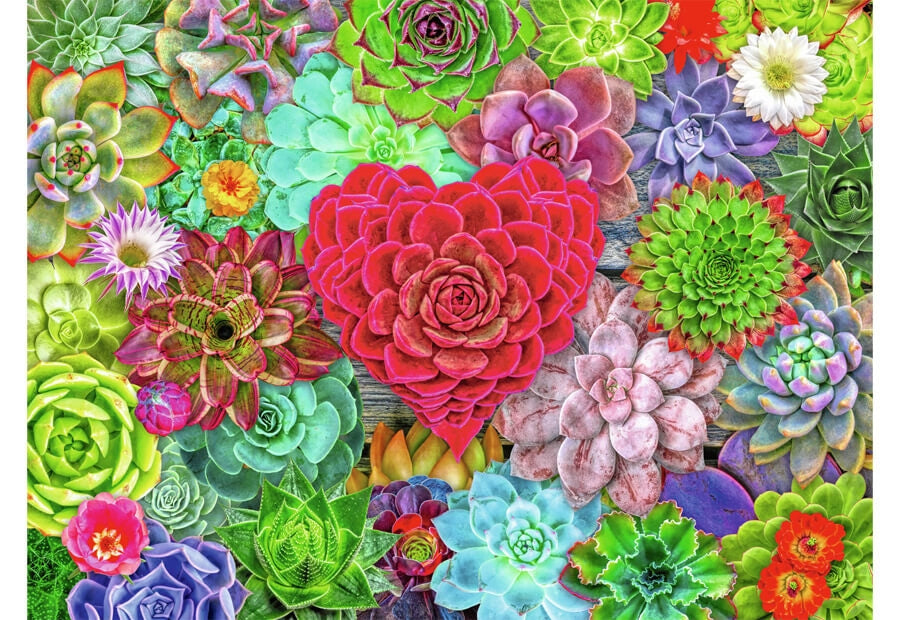Ravensburger puslespil Succulent Love med 500 brikker