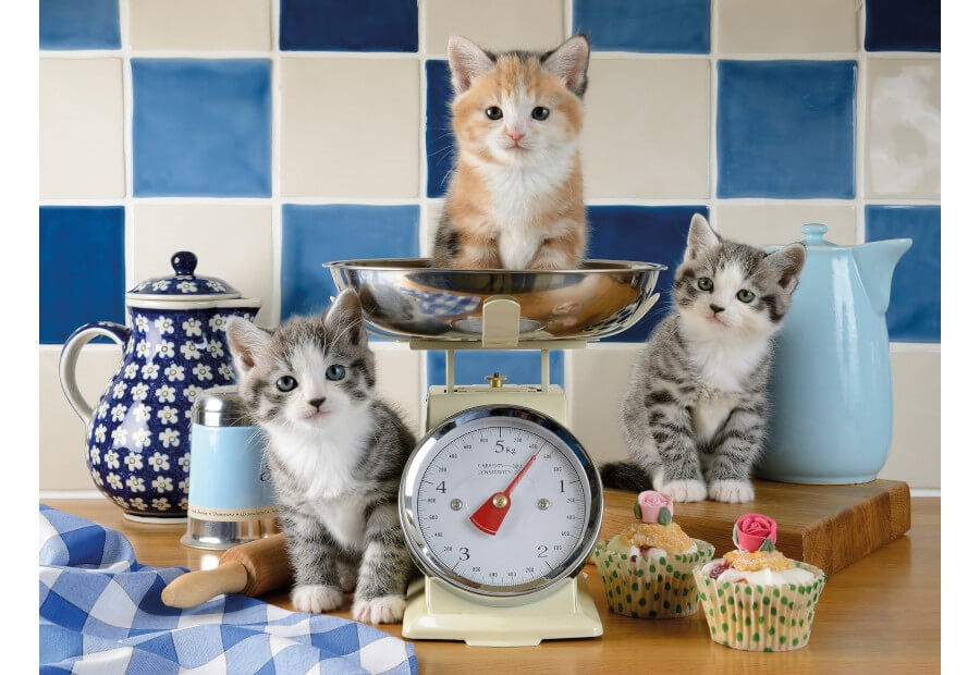 Ravensburger puslespil Kittens in the Kitchen med 1500 brikker