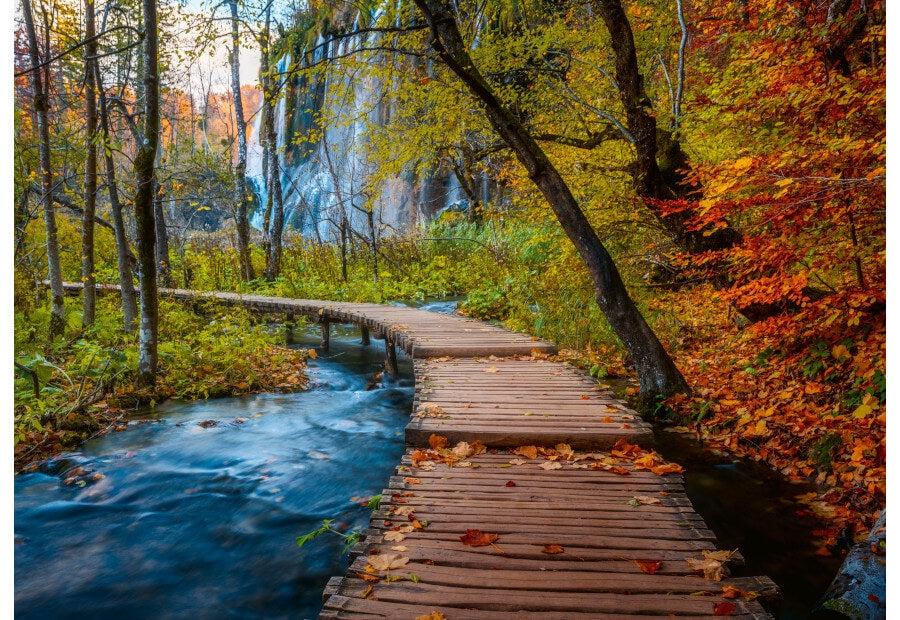 Ravensburger puslespil Autumnal Forest Path med 1000 brikker