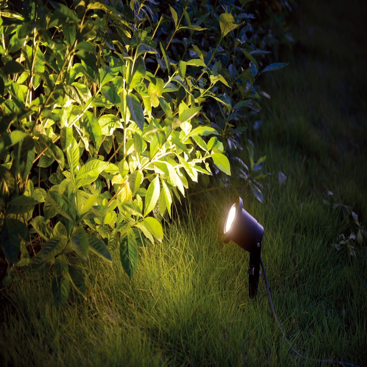 Se Tierra - Udendørslampe i sort aluminium ❤ Kæmpe udvalg i 3-nordic - Køb online på udsalg og tilbud lige nu ❤ Hurtig levering til lave fragtpriser - Varenummer: 3-nordic-4320 og barcode / Ean: på lager - Udsalg på Lamper - Udendørslamper Få op til 69% i rabat - Find over 1.798 brands på udsalg