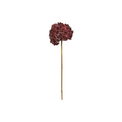 Se Hortensia blomster "Bordeau" 70cm ✔ Kæmpe udvalg i Kunstige-Stearinlys ✔ Meget billig fragt og hurtig levering: 1 - 2 hverdage - Varenummer: KSL-163059 og barcode / Ean: på lager - Udsalg på Kunstige blomster Spar op til 55% - Over 1300 kendte brands på udsalg