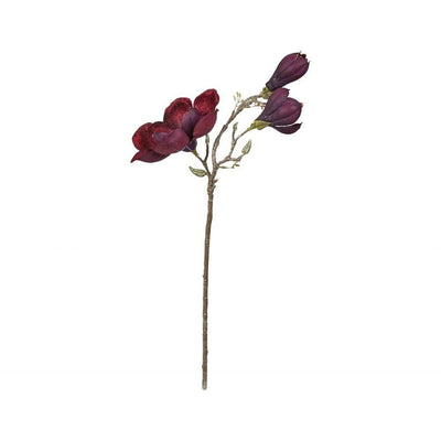 Se Flot magnolia gren "aubergine" 70 cm ✔ Kæmpe udvalg i Kunstige-Stearinlys ✔ Meget billig fragt og hurtig levering: 1 - 2 hverdage - Varenummer: KSL-163091 og barcode / Ean: på lager - Udsalg på Kunstige blomster Spar op til 62% - Over 1300 kendte brands på udsalg