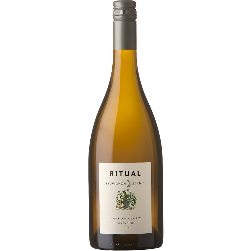 Se Ritual Sauvignon Blanc 2020 Veramonte ✔ Kæmpe udvalg i VerAmonte - Køb online på udsalg og tilbud lige nu ✔ Meget billig fragt og hurtig levering - Varenummer: Barlife-702402 og på lager - Udsalg på Fødevarer, drikkevarer og tobak | Drikkevarer | Alkoholiske drikke | Vin Store besparelser – op til 67% - Udsalg på mere end 2.281 populære mærker