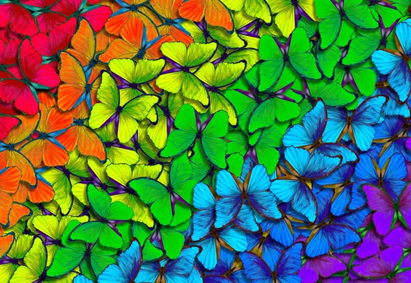 Enjoy puslespil Rainbow Butterflies med 1000 brikker