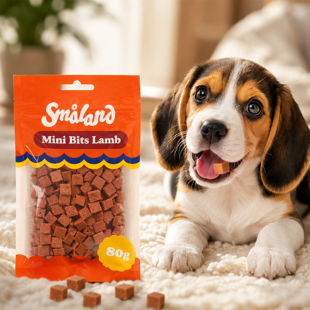 Se Småland Mini Bits Lamb 80g (hundegodbider af lam) ✔ Kæmpe udvalg i Satana - Køb online på udsalg og tilbud lige nu ✔ Super billig fragt og lynhurtig levering - Varenummer: Satana-43423312445518 på lager - Udsalg på Personlig pleje > Store besparelser – op til 67% - Udsalg på mere end 2.281 populære mærker