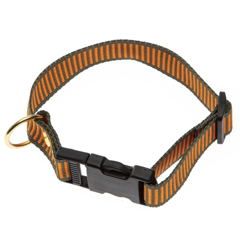 2-farvet halsbånd i orange og grøn fra BLF-Hunting, 25 mm x 40 cm