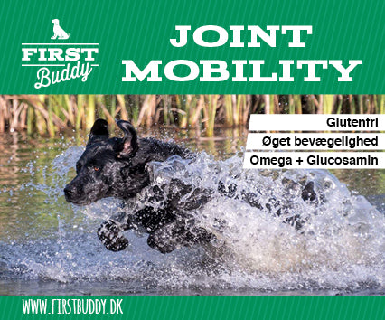 Pakning First Buddy Joint Mobility til hunde med naturligt glucosamin, 2 kg