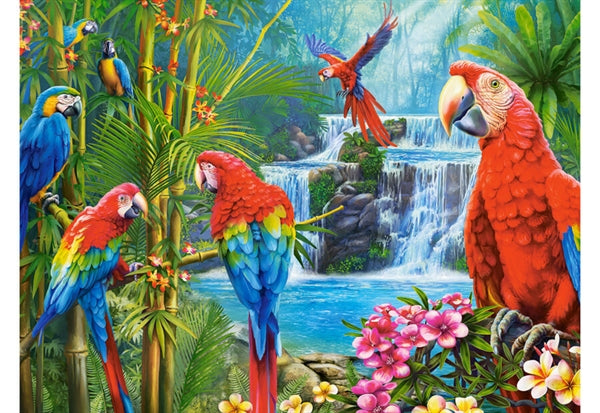 Castorland puslespil Parrot Meeting med 2000 brikker