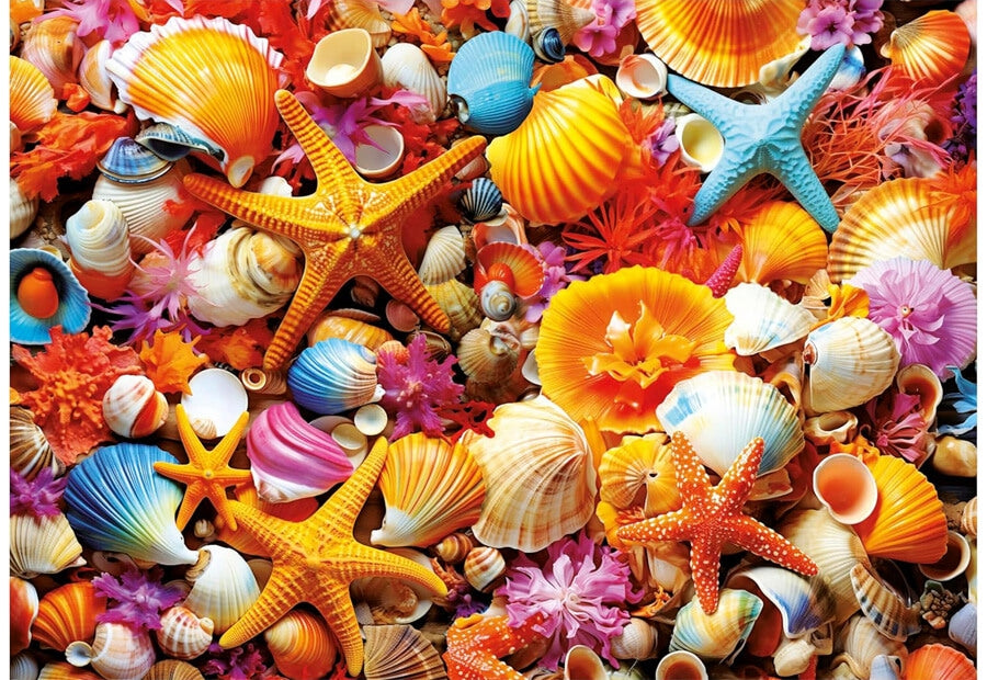 Educa puslespil Shell Collage med 1000 brikker