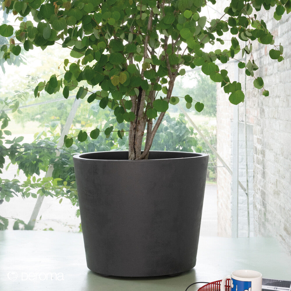 Se Millennium rund krukke H49XØ59 - antracit ❤ Kæmpe udvalg i Deroma - Køb online på udsalg og tilbud lige nu ❤ Billig fragt og hurtig levering - Varenummer: Bolig&Haven-61179766407498 og barcode / Ean: 191942097262 på lager - Udsalg på Få op til 63% i rabat - Over 2.739 brands på stort udsalg
