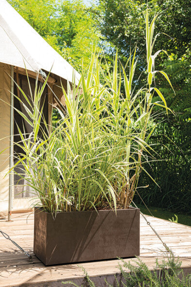 Se Millennium aflang krukke L99XD38XH39 m. hjul - brun ❤ Kæmpe udvalg i Deroma - Køb online på udsalg og tilbud lige nu ❤ Hurtig levering til lave fragtpriser - Varenummer: Bolig&Haven-61179767357770 og barcode / Ean: 191942106452 på lager - Udsalg på Spar helt op til 57% - Over 739 kendte brands på udsalg