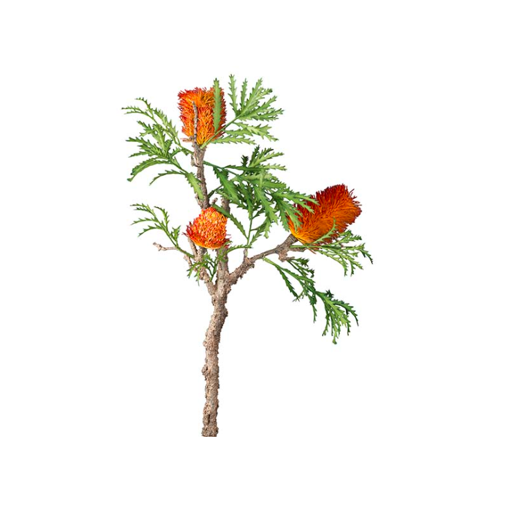 Kunstig Banksia  85 cm. Orange