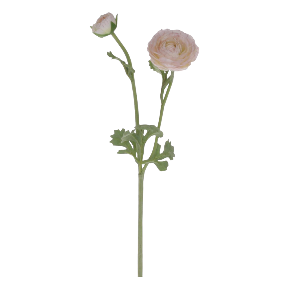 Se Chic Antique FLEUR Ranunkel antik hvid ❤ Kæmpe udvalg i Chic Antique - Køb online på udsalg og tilbud lige nu ❤ Billig fragt • Hurtig levering - Varenummer: HomeFeeling-2721 - Udsalg på Interiør - Kunstige blomster - Alt interiør - Gaveidé til hende Spar helt op til 73% - Kæmpe udsalg på over 739 brands