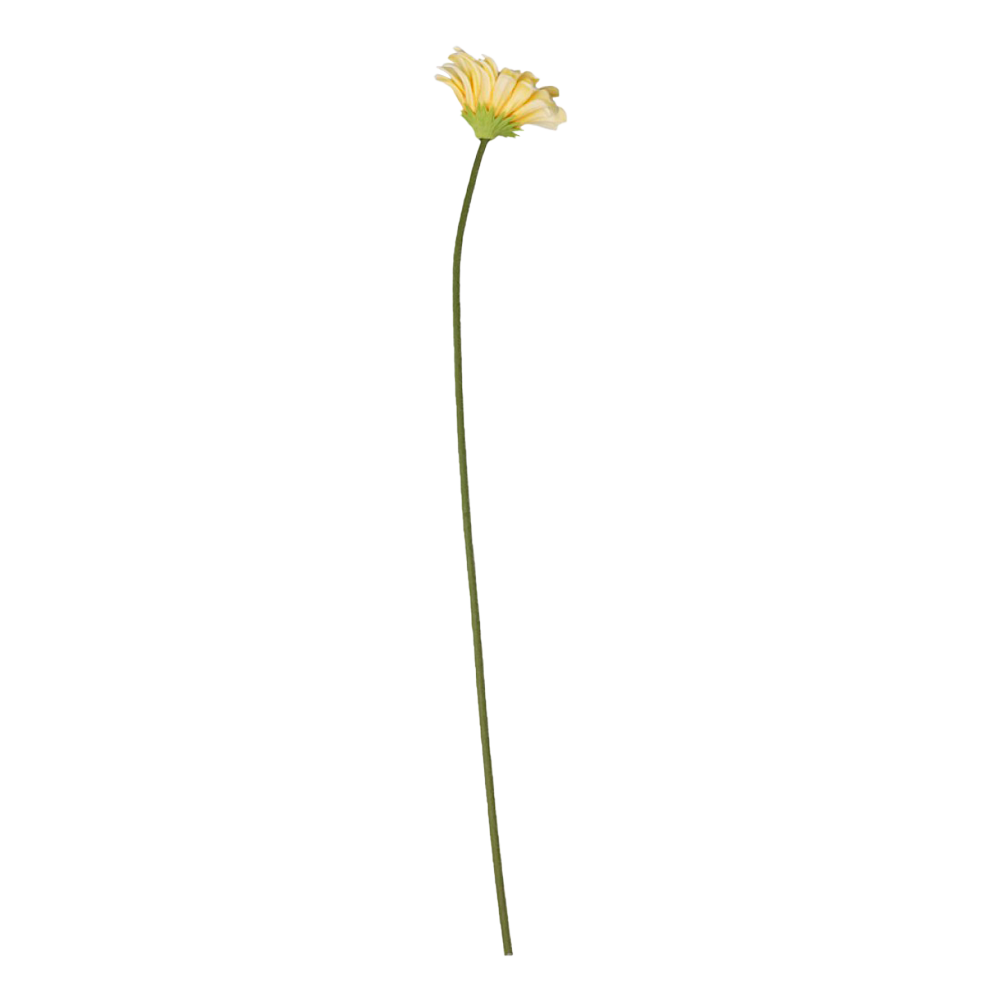 Se Chic Antique FLEUR Gerbera melon ❤ Kæmpe udvalg i Chic Antique - Køb online på udsalg og tilbud lige nu ❤ Hurtig levering til lave fragtpriser - Varenummer: HomeFeeling-2694 - Udsalg på Interiør - Kunstige blomster - Alt interiør Spar helt op til 79% - Over 2.739 kendte brands på udsalg