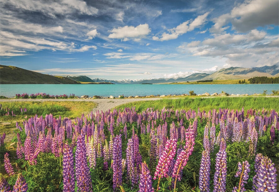 Clementoni puslespil Lupins at Lake Tekapo, 1500 brikker