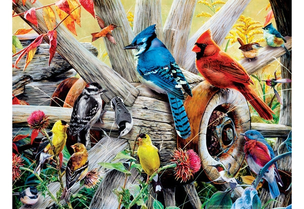 Puslespilsæske til Backyard Birds fra MasterPieces med 300 XXL-brikker