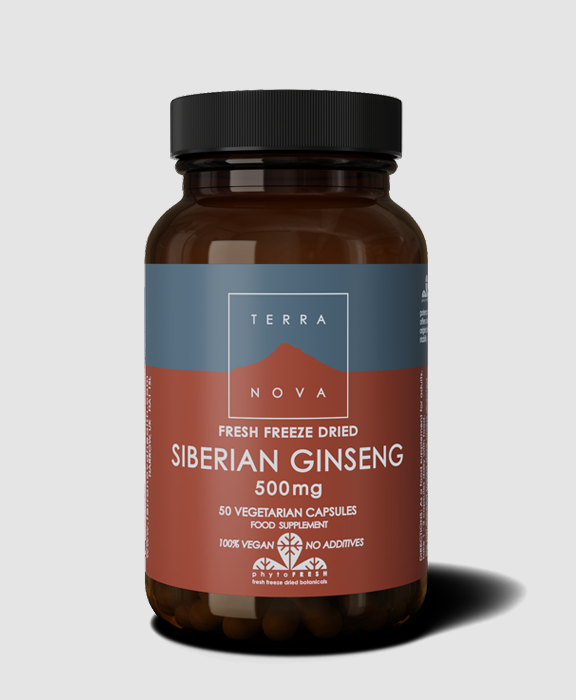 Pakning med TerraNova Siberian Ginseng 500 mg, 50 kapsler
