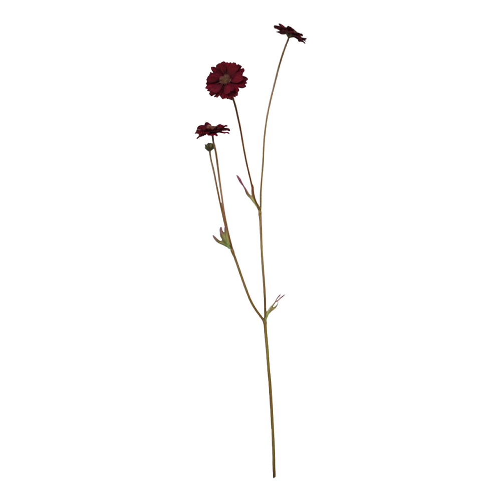 Se Chic Antique FLEUR Grøftekantsblomst vinrød ❤ Kæmpe udvalg i Chic Antique - Køb online på udsalg og tilbud lige nu ❤ Meget billig fragt og hurtig levering - Varenummer: HomeFeeling-2716 - Udsalg på Interiør - Kunstige blomster - Alt interiør Op til 61% rabat - Over 1.329 brands på online udsalg