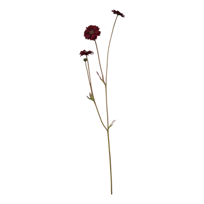 Se FLEUR Grøftekantsblomst vinrød på udsalg! Billig fragt & hurtig levering. Spar op til 67% på tilbud fra Chic Antique. Køb nu!