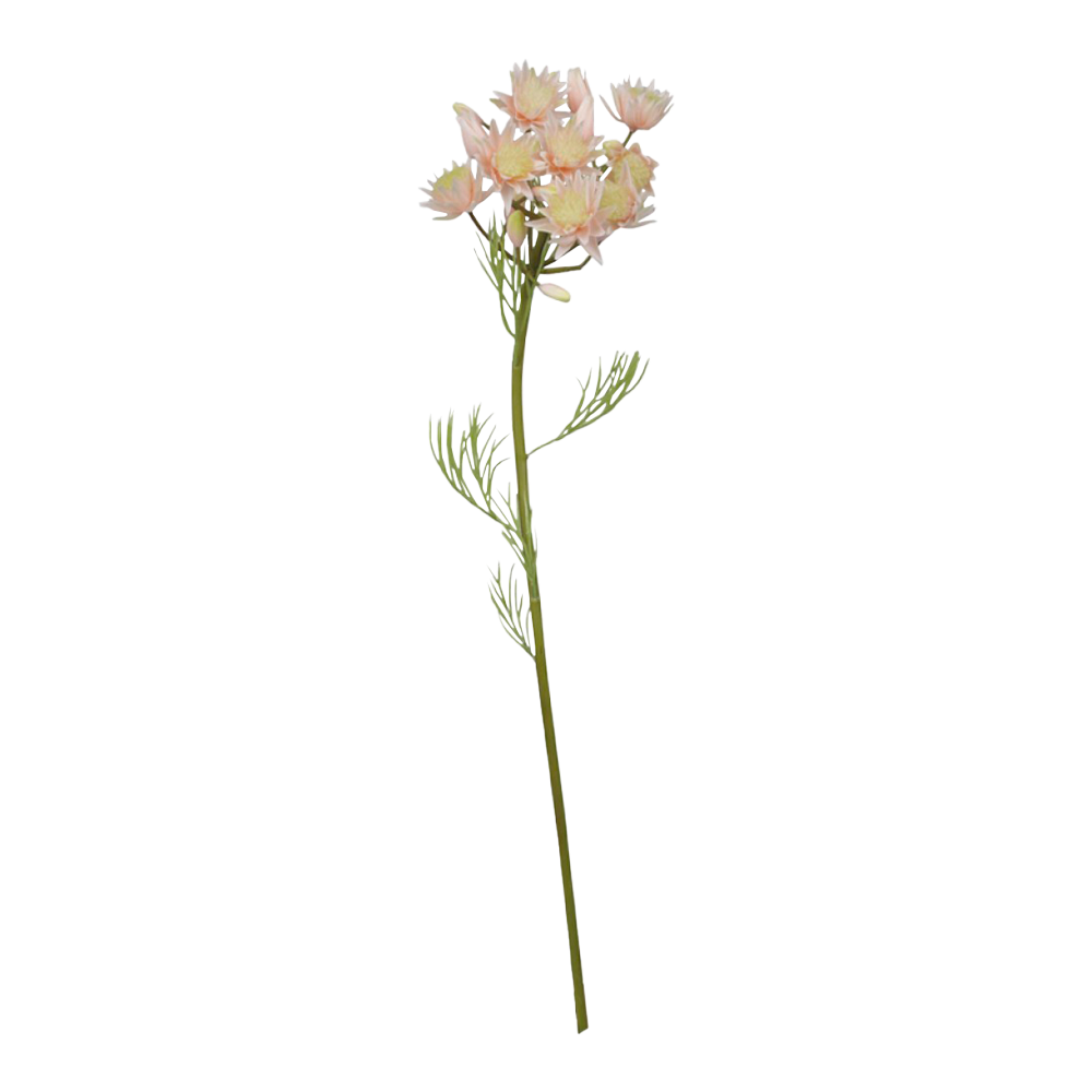 Se Chic Antique FLEUR Grøftekantsblomst rosa ❤ Kæmpe udvalg i Chic Antique - Køb online på udsalg og tilbud lige nu ❤ Super billig fragt og lynhurtig levering - Varenummer: HomeFeeling-2705 - Udsalg på Interiør - Kunstige blomster - Alt interiør Store besparelser – op til 77% - Store besparelser på over 2.281 brands