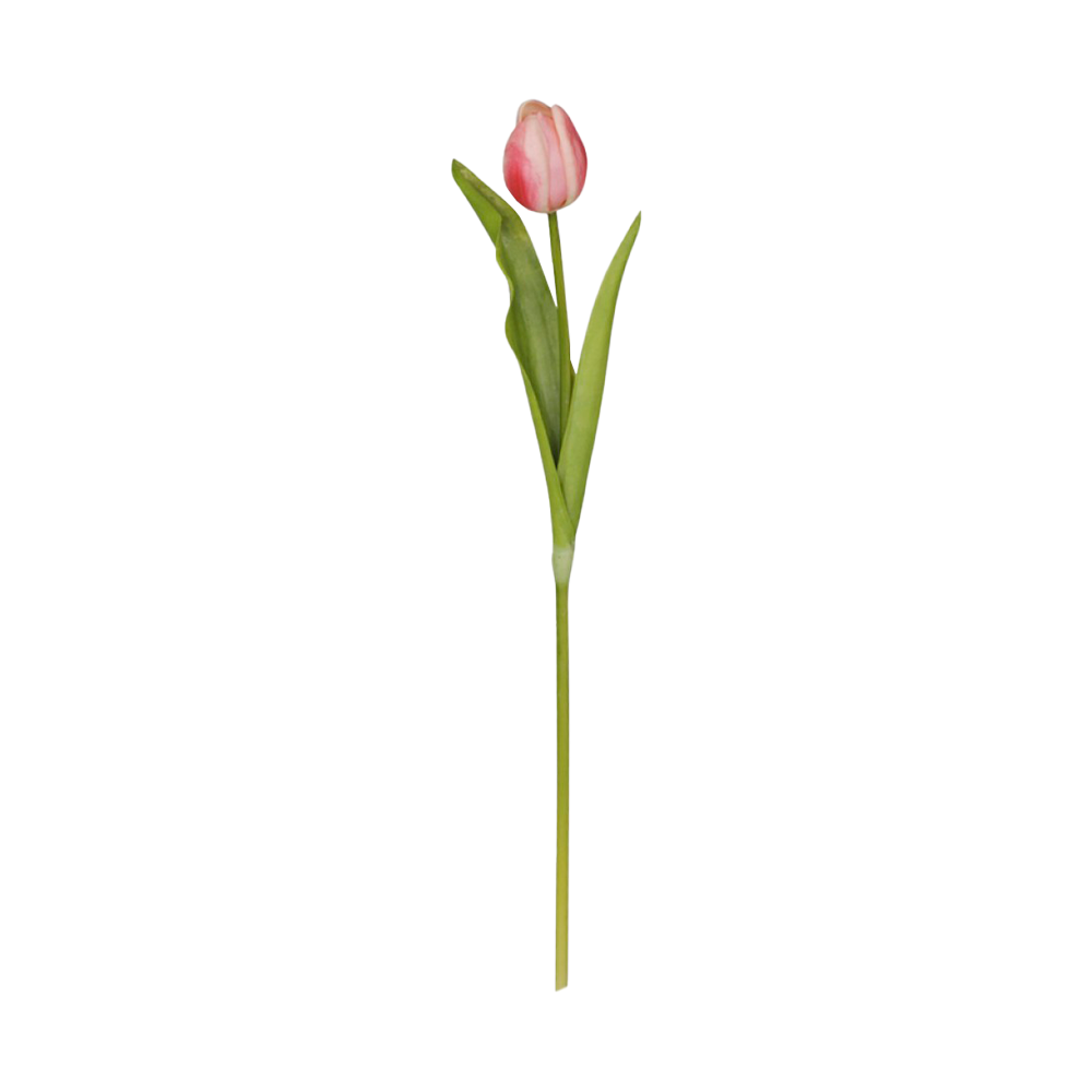 Se Chic Antique FLEUR Tulipan lyserød ❤ Kæmpe udvalg i Chic Antique - Køb online på udsalg og tilbud lige nu ❤ Super billig fragt og lynhurtig levering - Varenummer: HomeFeeling-2739 - Udsalg på Interiør - Kunstige blomster - Alt interiør Få op til 67% i rabat - Find over 1.798 brands på udsalg