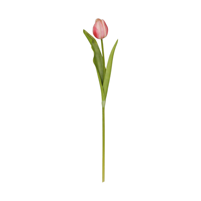 Se billige FLEUR Tulipan lyserøde på udsalg! Stort udvalg, hurtig levering, tilbud og billig fragt. Spar op til 63% på kunstige blomster.
