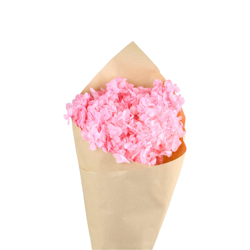 Se tilbud på FLEUR Tørret hortensia rosa! Billigt udsalg på Chic Antique. Hurtig levering, 1-2 hverdage. Spar op til 64%.