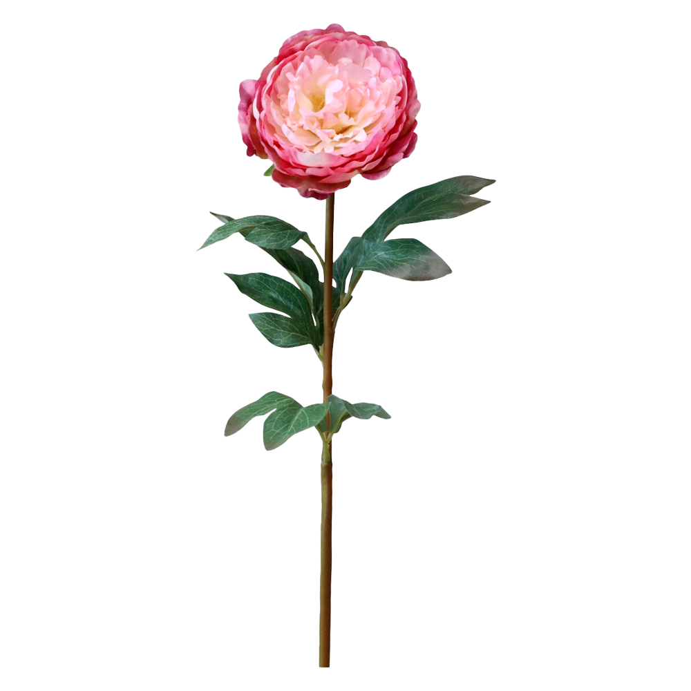 Se Chic Antique FLEUR Pæon rosa ❤ Kæmpe udvalg i Chic Antique - Køb online på udsalg og tilbud lige nu ❤ Hurtig levering til lave fragtpriser - Varenummer: HomeFeeling-2726 - Udsalg på Interiør - Kunstige blomster - Alt interiør Spar stort – op til 59% - Over 2.739 kendte brands på stort udsalg