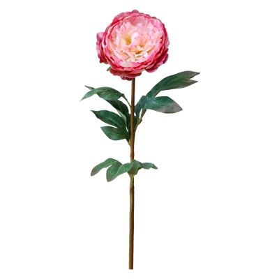 Se FLEUR Pæon rosa på udsalg! Billig fragt & hurtig levering (1-2 dage). Spar op til 65% på Chic Antique. Køb online nu!