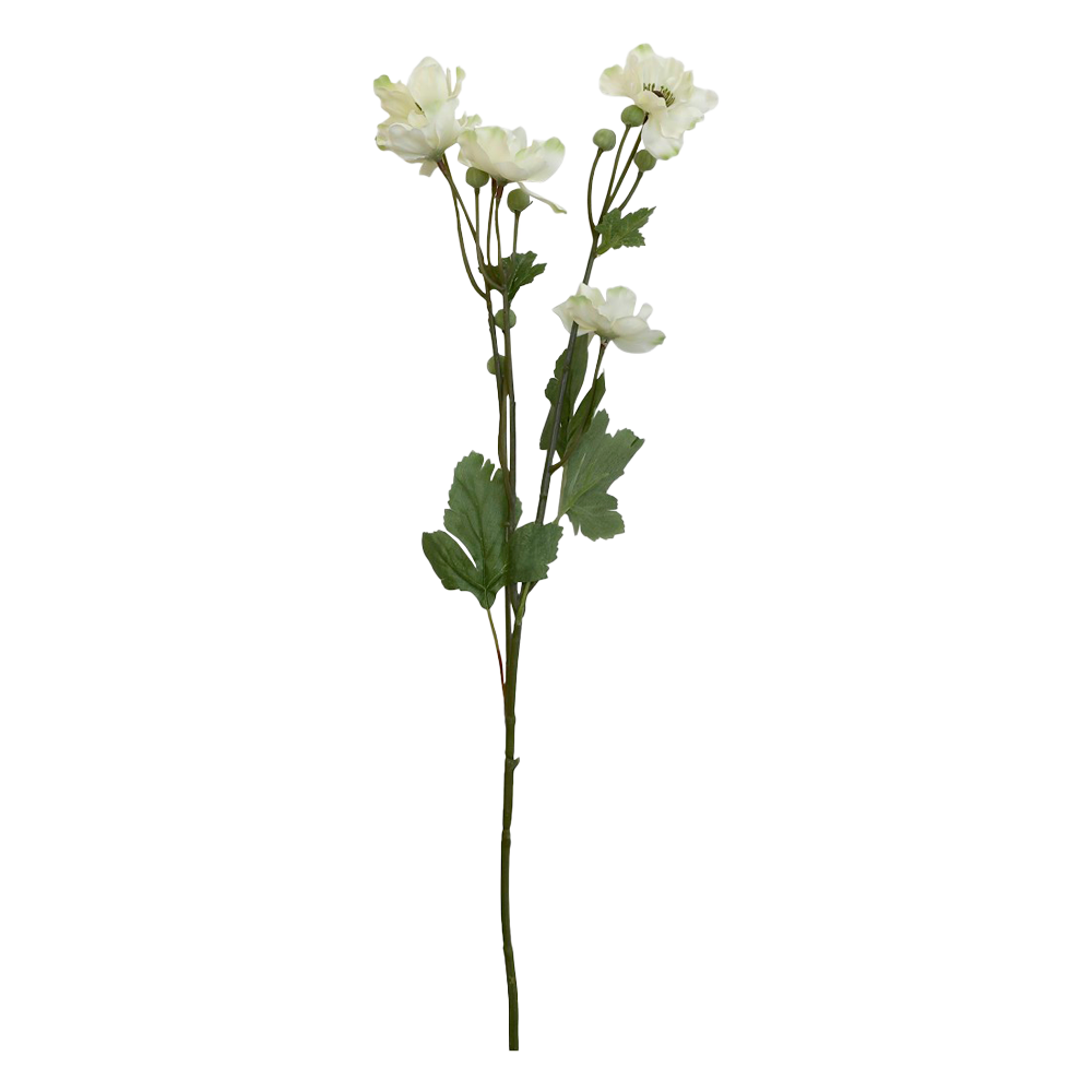 Se Chic Antique FLEUR Fransk anemone creme ❤ Kæmpe udvalg i Chic Antique - Køb online på udsalg og tilbud lige nu ❤ Lav fragtpris og hurtig levering - Varenummer: HomeFeeling-2738 - Udsalg på Interiør - Kunstige blomster - Alt interiør Store besparelser – op til 71% - Udsalg på mere end 2.281 populære mærker