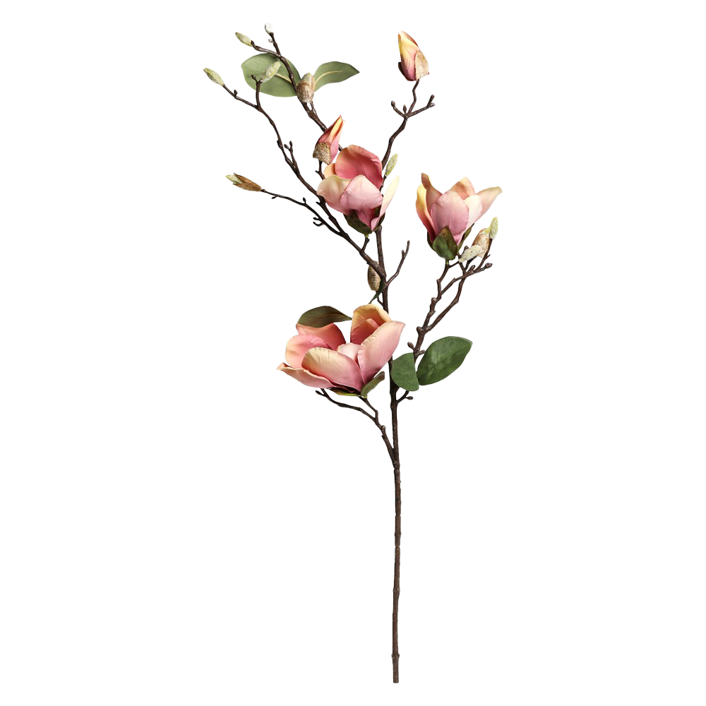 Se Chic Antique FLEUR Magnolia gammel rosa ❤ Kæmpe udvalg i Chic Antique - Køb online på udsalg og tilbud lige nu ❤ Billig fragt og hurtig levering - Varenummer: HomeFeeling-2710 - Udsalg på Interiør - Kunstige blomster - Alt interiør - Gaveidé under 100 kr. Få op til 69% i rabat - Shop udsalg fra mere end 1.798 mærker