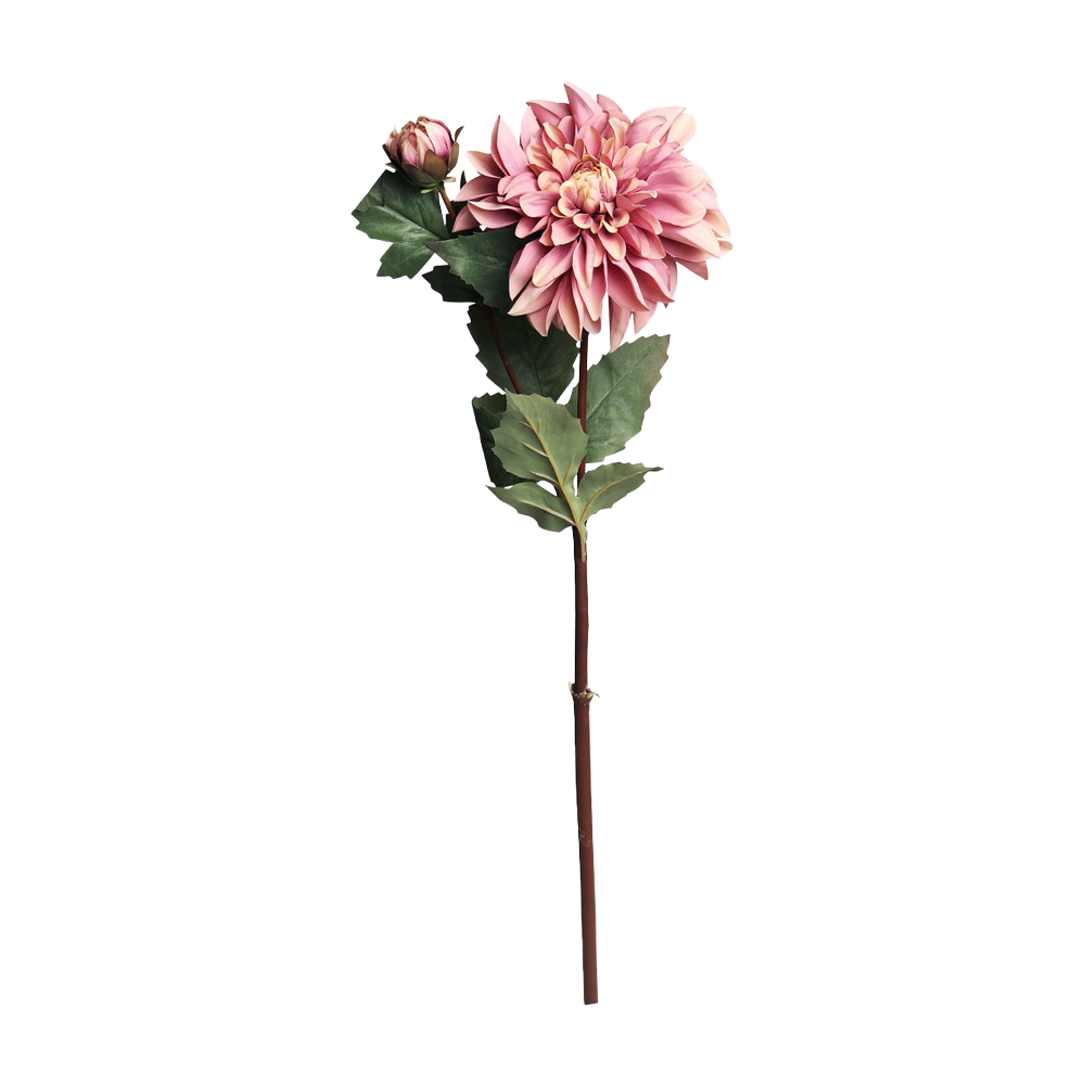 Se Chic Antique FLEUR Dahlia gammel rosa ❤ Kæmpe udvalg i Chic Antique - Køb online på udsalg og tilbud lige nu ❤ Billig fragt • Hurtig levering - Varenummer: HomeFeeling-2688 - Udsalg på Interiør - Kunstige blomster - Alt interiør Op til 57% rabat - Mere end 2.739 populære mærker på tilbud
