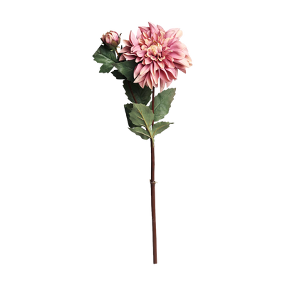 Se FLEUR Dahlia gammel rosa på udsalg! Billig fragt & hurtig levering (1-2 hverdage). Stort udvalg, tilbud & op til 55% rabat. Køb nu!