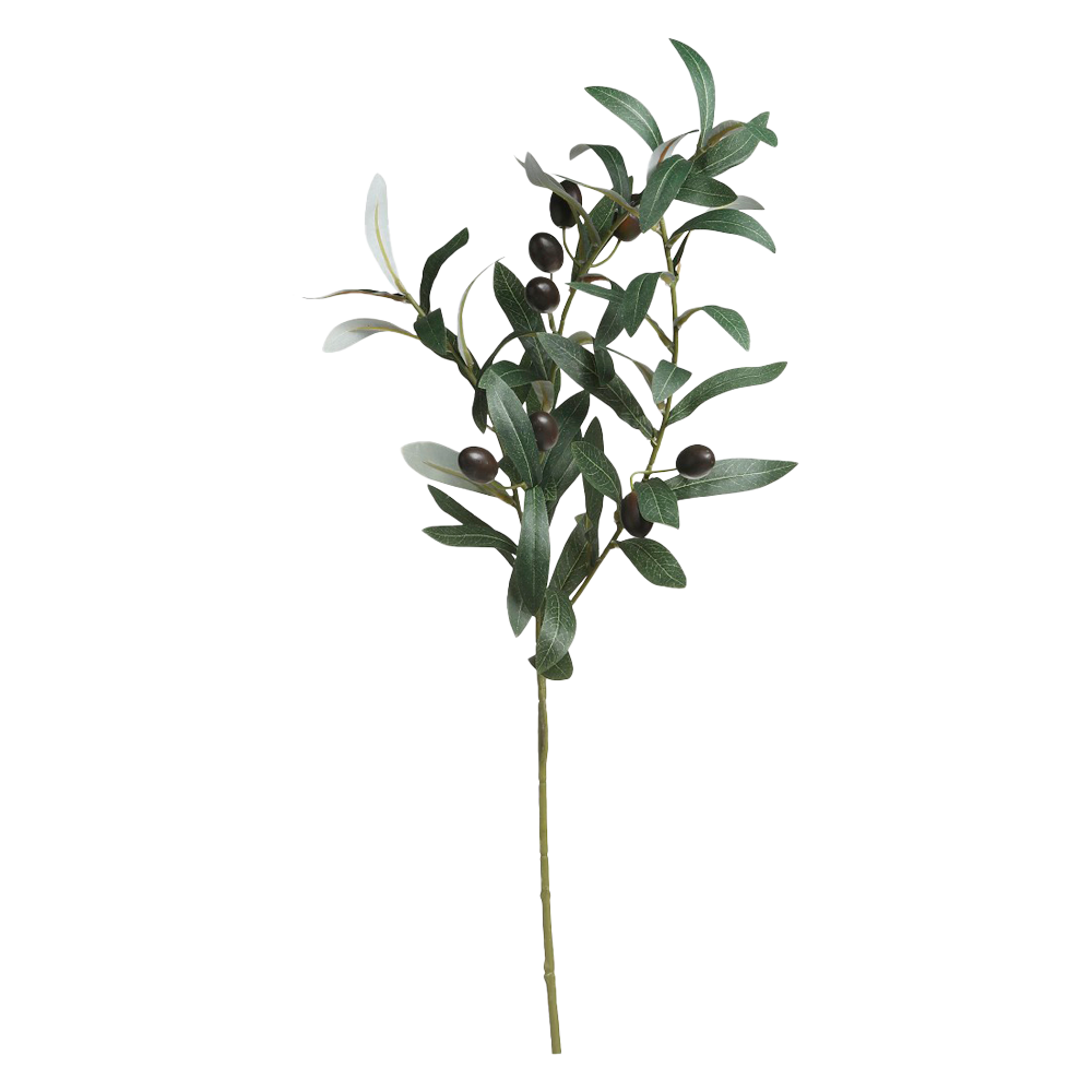 Se Chic Antique FLEUR Olivengren grøn ❤ Kæmpe udvalg i Chic Antique - Køb online på udsalg og tilbud lige nu ❤ Lav fragtpris og hurtig levering - Varenummer: HomeFeeling-2704 - Udsalg på Interiør - Kunstige blomster - Alt interiør Spar stort – op til 53% - Eksklusivt udsalg på over 2.739 brands